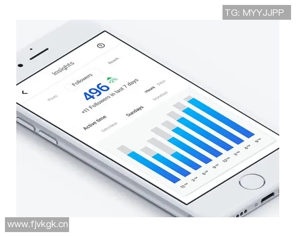 深入探讨Instagram平台的技术表现与数据分析方法