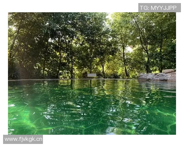 以泳池为核心,打造四季皆宜的度假胜地,体验畅游与悠闲的完美结合 以泳池为核心,打造四季皆宜的度假胜地,体验畅游与悠闲的完美结合